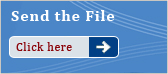 Send the File